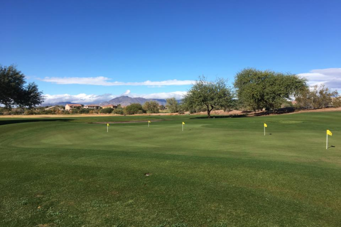 Golf Course Green with Flags