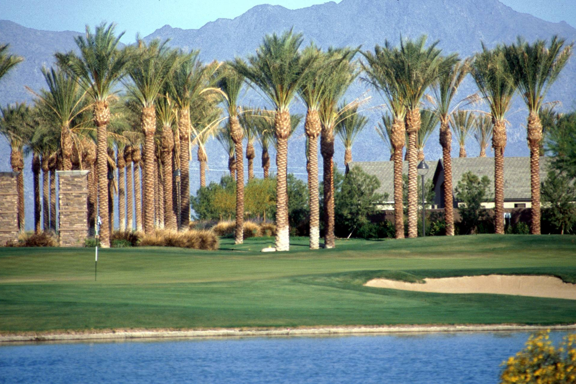 trees and body of water on green